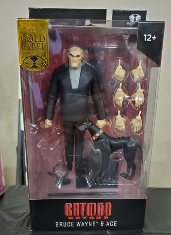 Bruce Wayne and Ace Batman Beyond Action Figure